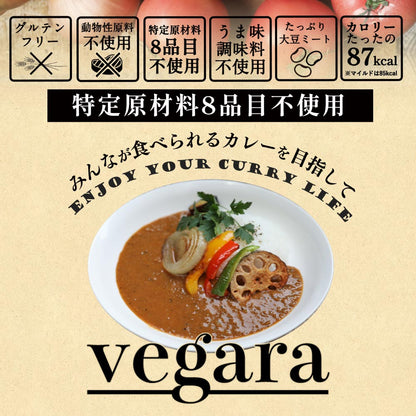 vegara スパイシー10食 ヴィーガン グルテンフリー カレー 特定原材料不使用 大豆ミート プラントベース ビーガン ベジタリアン