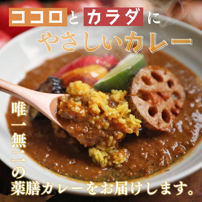 vegara スパイシー10食 ヴィーガン グルテンフリー カレー 特定原材料不使用 大豆ミート プラントベース ビーガン ベジタリアン