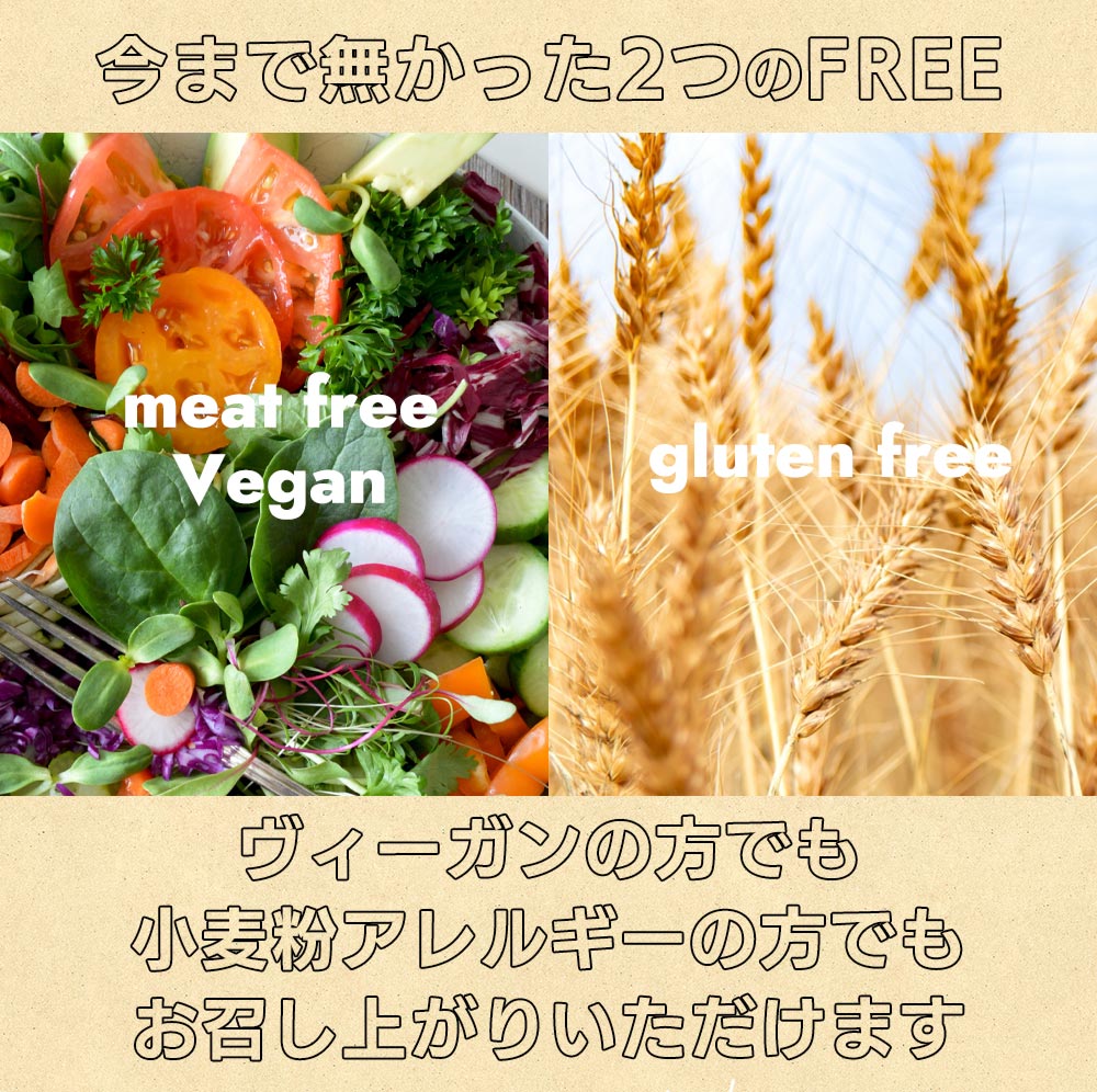 vegara スパイシー10食 ヴィーガン グルテンフリー カレー 特定原材料不使用 大豆ミート プラントベース ビーガン ベジタリアン