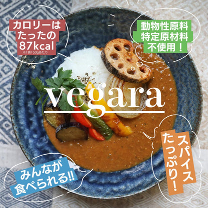 vegara スパイシー10食 ヴィーガン グルテンフリー カレー 特定原材料不使用 大豆ミート プラントベース ビーガン ベジタリアン