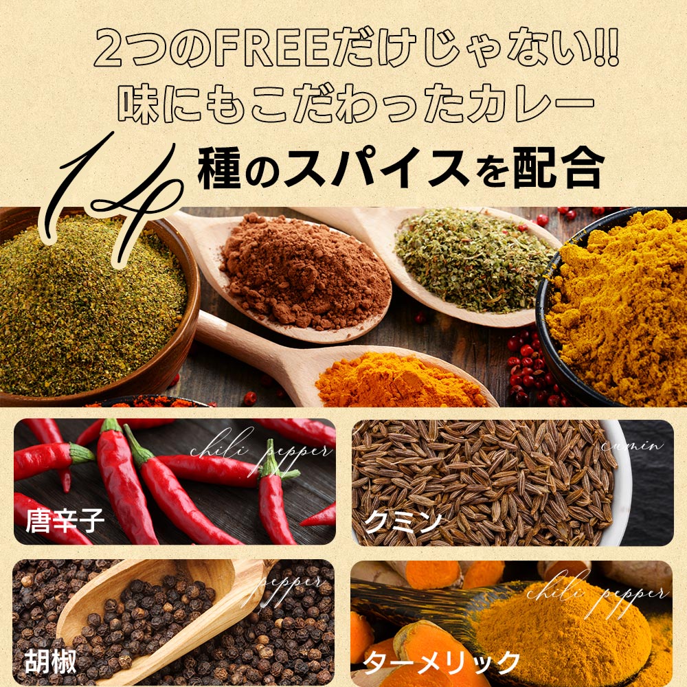 vegara スパイシー10食 ヴィーガン グルテンフリー カレー 特定原材料不使用 大豆ミート プラントベース ビーガン ベジタリアン