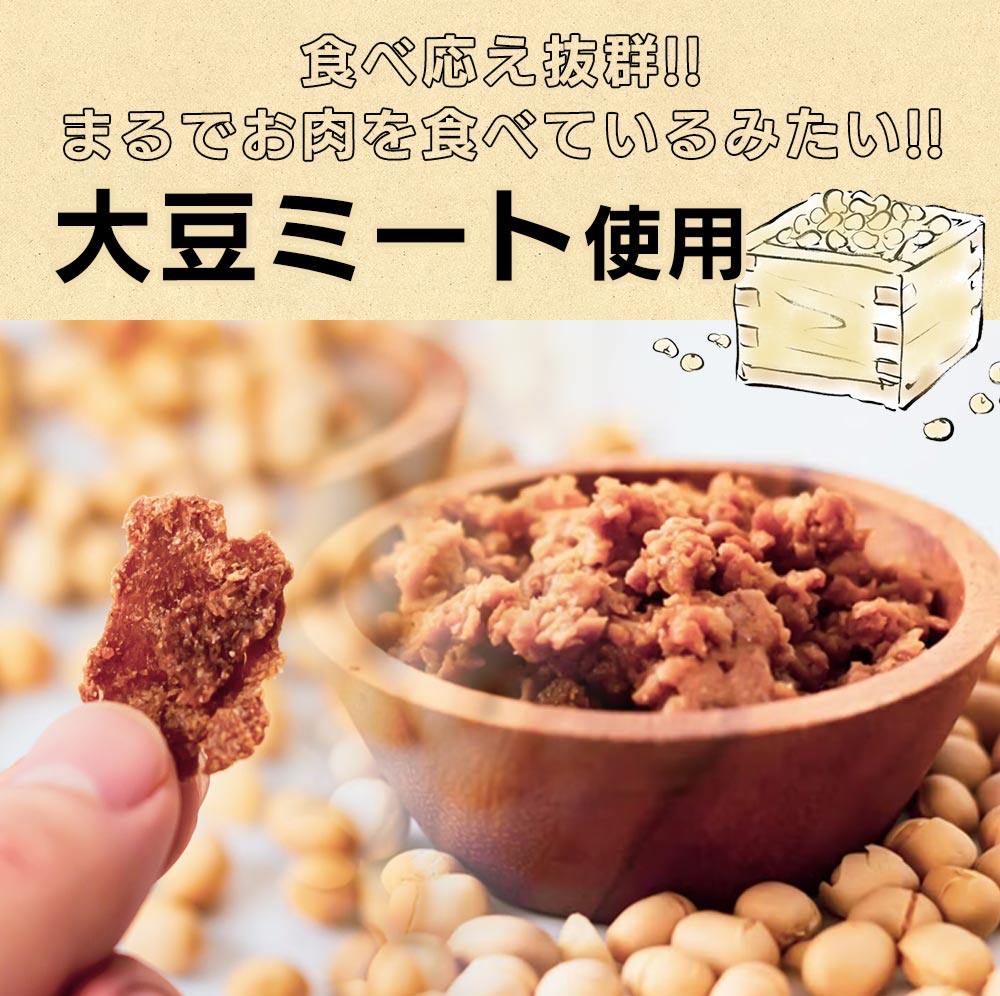 vegara スパイシー10食 ヴィーガン グルテンフリー カレー 特定原材料不使用 大豆ミート プラントベース ビーガン ベジタリアン