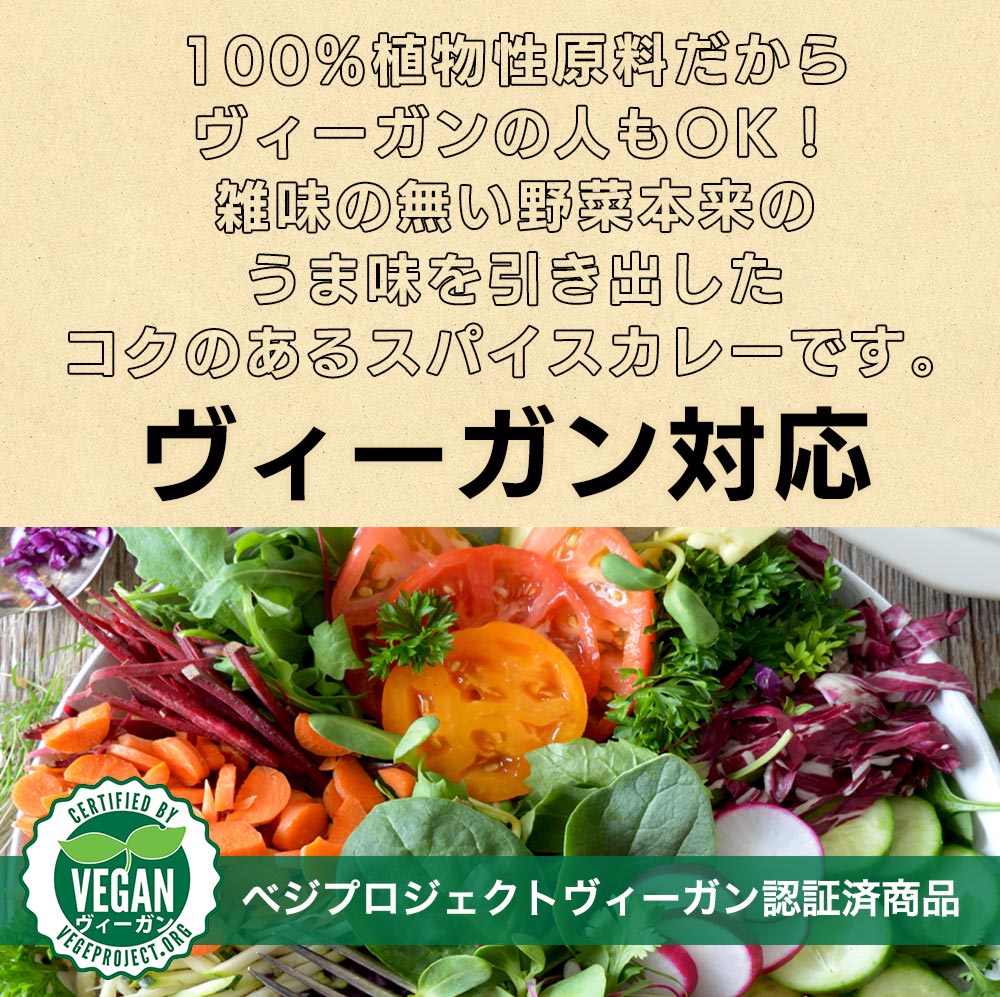 vegara スパイシー10食 ヴィーガン グルテンフリー カレー 特定原材料不使用 大豆ミート プラントベース ビーガン ベジタリアン