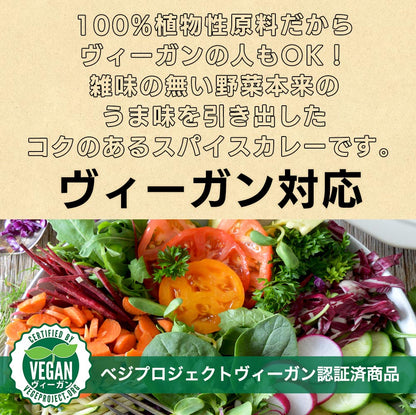 vegara スパイシー10食 ヴィーガン グルテンフリー カレー 特定原材料不使用 大豆ミート プラントベース ビーガン ベジタリアン