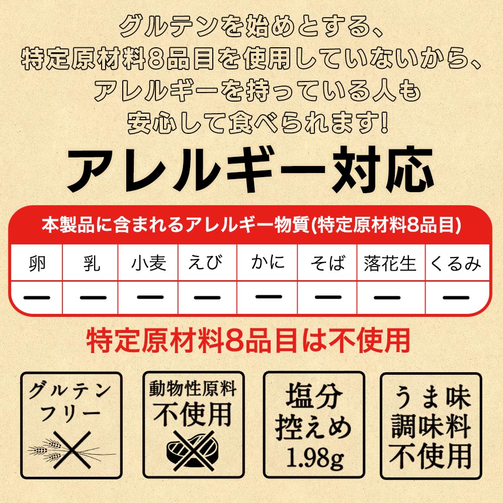vegara スパイシー10食 ヴィーガン グルテンフリー カレー 特定原材料不使用 大豆ミート プラントベース ビーガン ベジタリアン