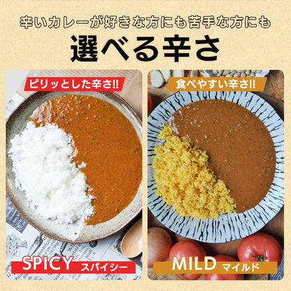 vegara スパイシー10食 ヴィーガン グルテンフリー カレー 特定原材料不使用 大豆ミート プラントベース ビーガン ベジタリアン