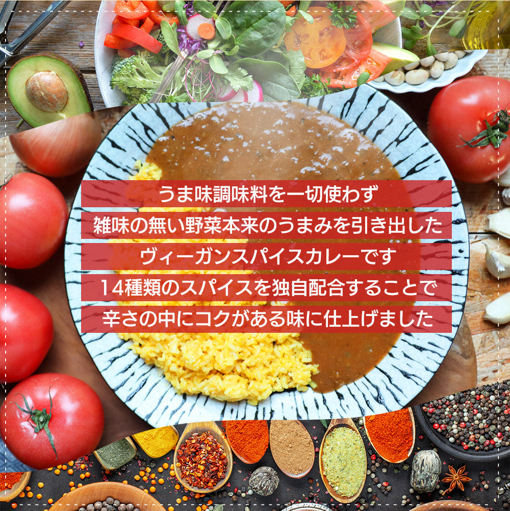 vegara スパイシー10食 ヴィーガン グルテンフリー カレー 特定原材料不使用 大豆ミート プラントベース ビーガン ベジタリアン