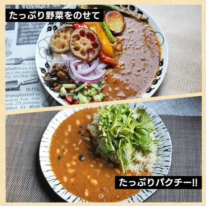 vegara スパイシー10食 ヴィーガン グルテンフリー カレー 特定原材料不使用 大豆ミート プラントベース ビーガン ベジタリアン