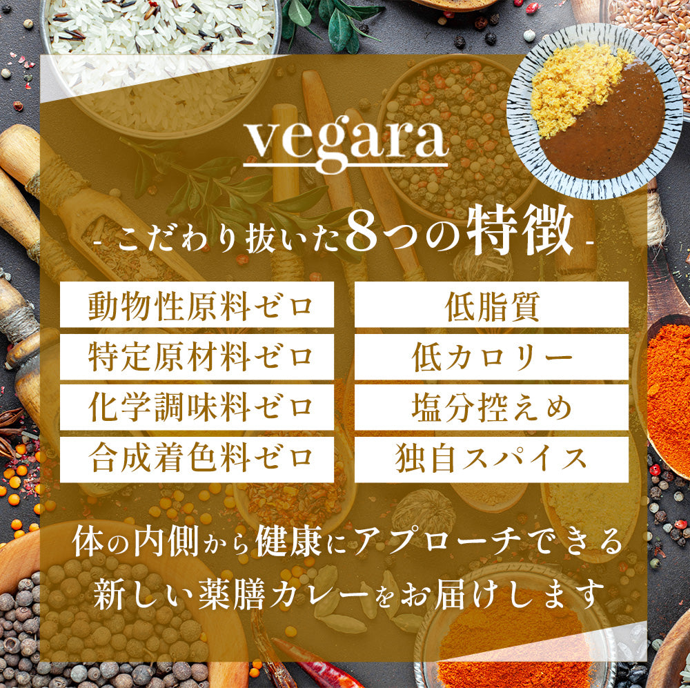 vegara スパイシー10食 ヴィーガン グルテンフリー カレー 特定原材料不使用 大豆ミート プラントベース ビーガン ベジタリアン